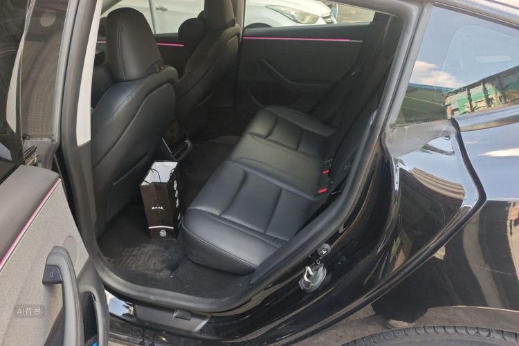 Tesla Model 3 2023 car image #19