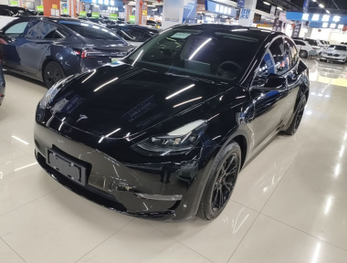 Tesla Model Y 2022 car image 