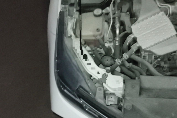 Toyota Corolla 2019 #22 Toyota Corolla 2019 car image #22