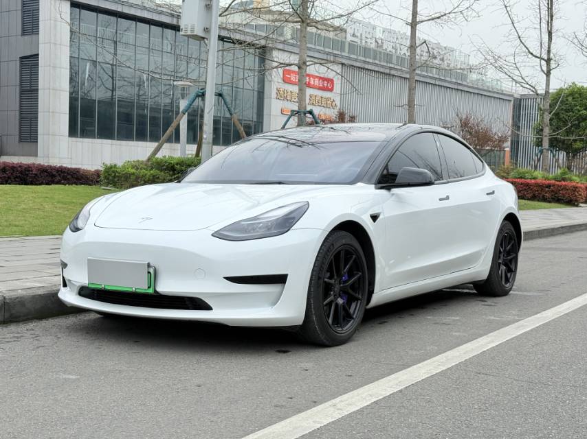 Tesla Model 3 2021 Tesla Model 3 2021 car image