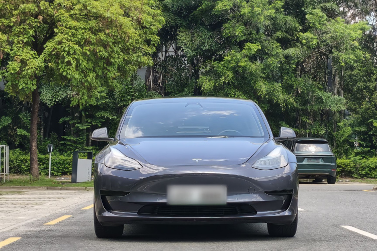 Tesla Model 3 2021 car image #3