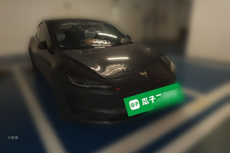 Tesla Model 3 2024 car image #4