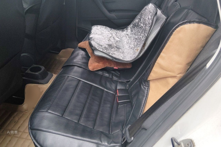 Volkswagen Polo 2019 car image #19