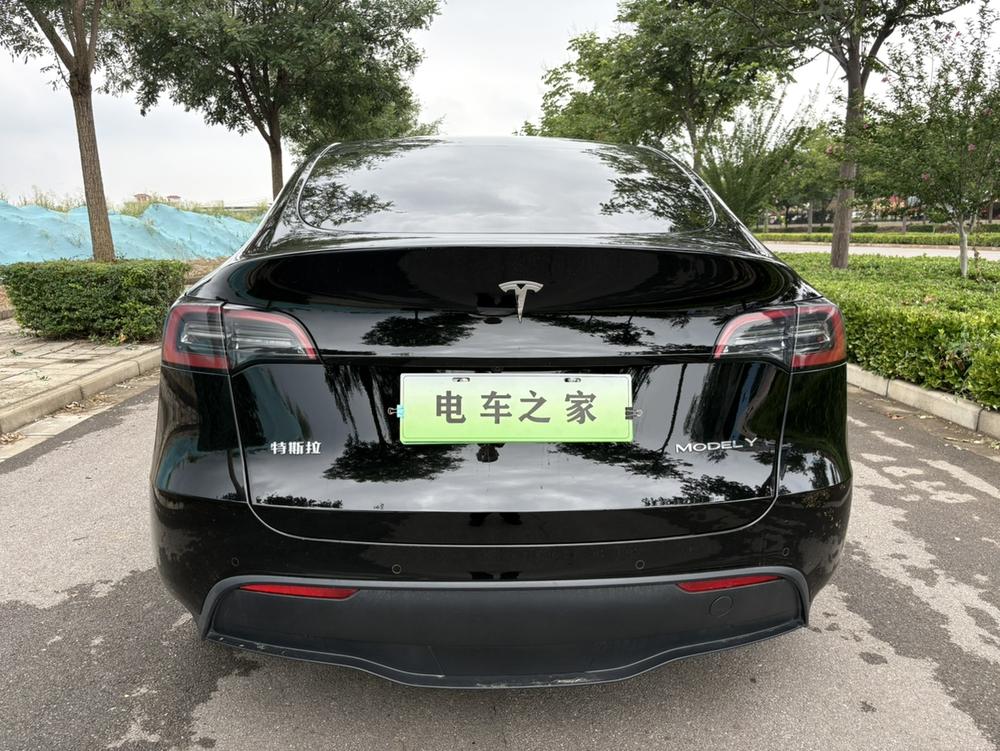 Tesla Model Y 2024 car image #6