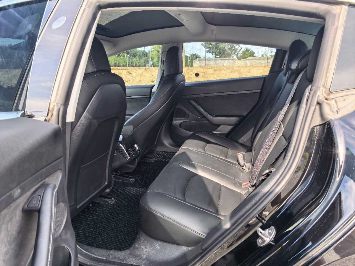 Tesla Model 3 2020 #5 Tesla Model 3 2020 car image #5