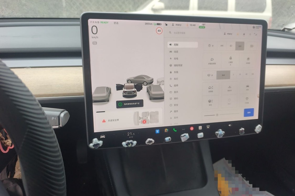 Tesla Model 3 2021 car image #24