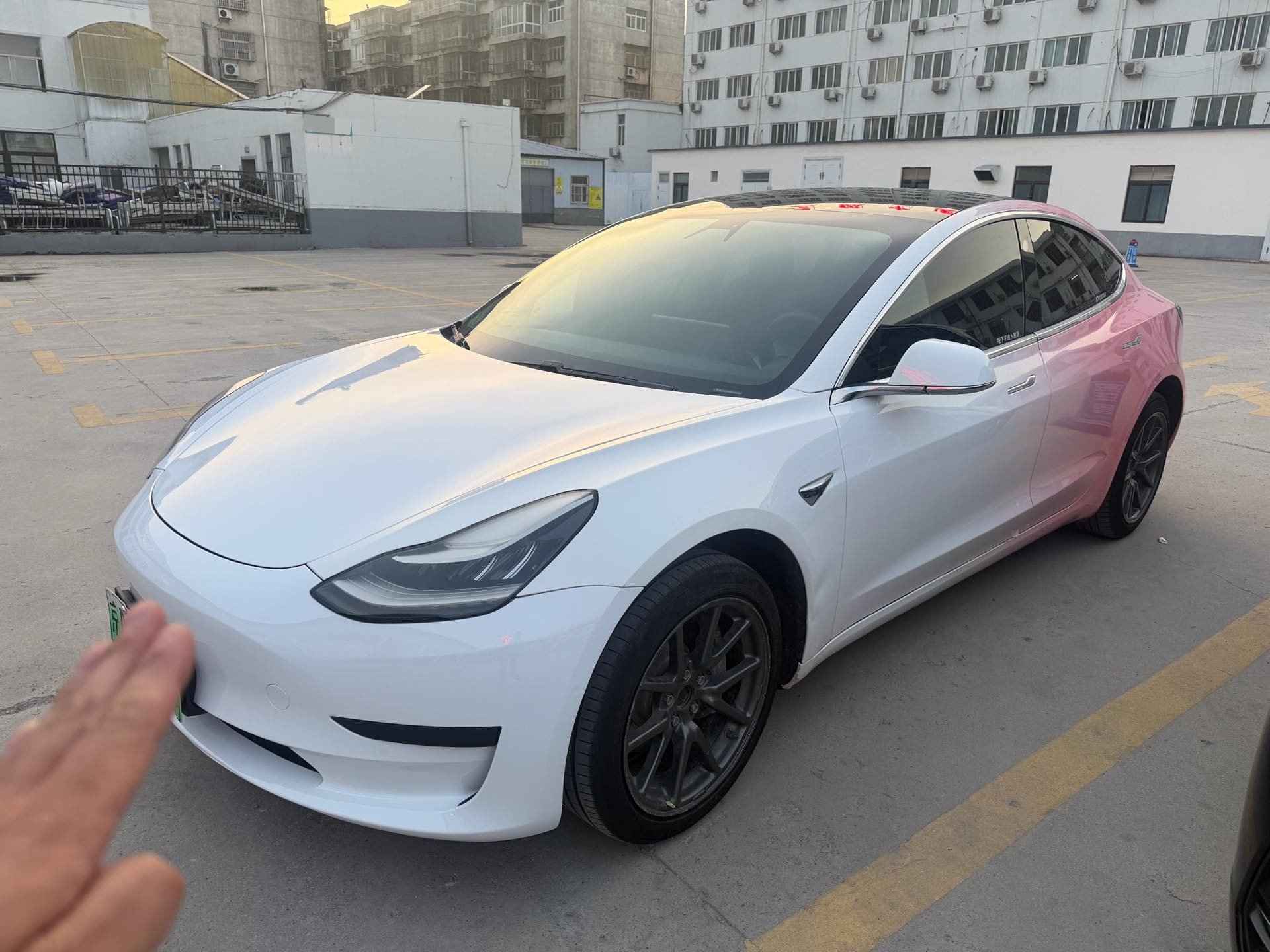 Tesla Model 3 2020 Tesla Model 3 2020 car image