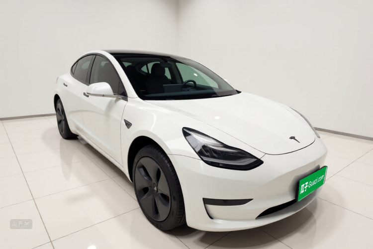 Tesla Model 3 2020 car image #4