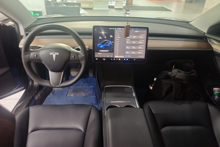 Tesla Model 3 2021 car image #10
