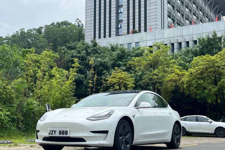 Tesla Model 3 2020 #2 Tesla Model 3 2020 car image #2