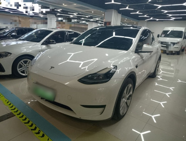 Tesla Model Y 2022 Tesla Model Y 2022 car image