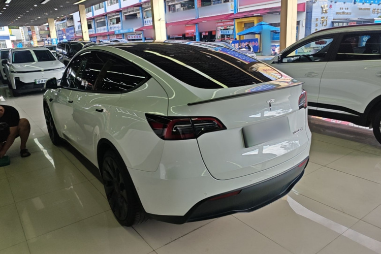 Tesla Model Y 2021 car image #7