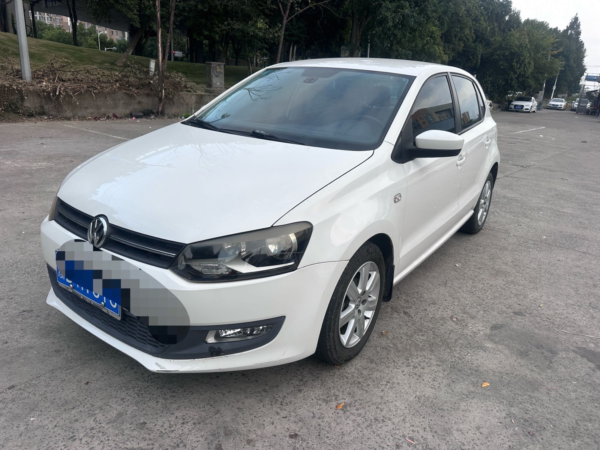 Volkswagen Polo 2013 car image 