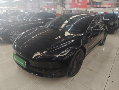 Tesla Model 3 2024 Tesla Model 3 2024 car image