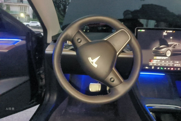 Tesla Model 3 2022 immagine di auto #12