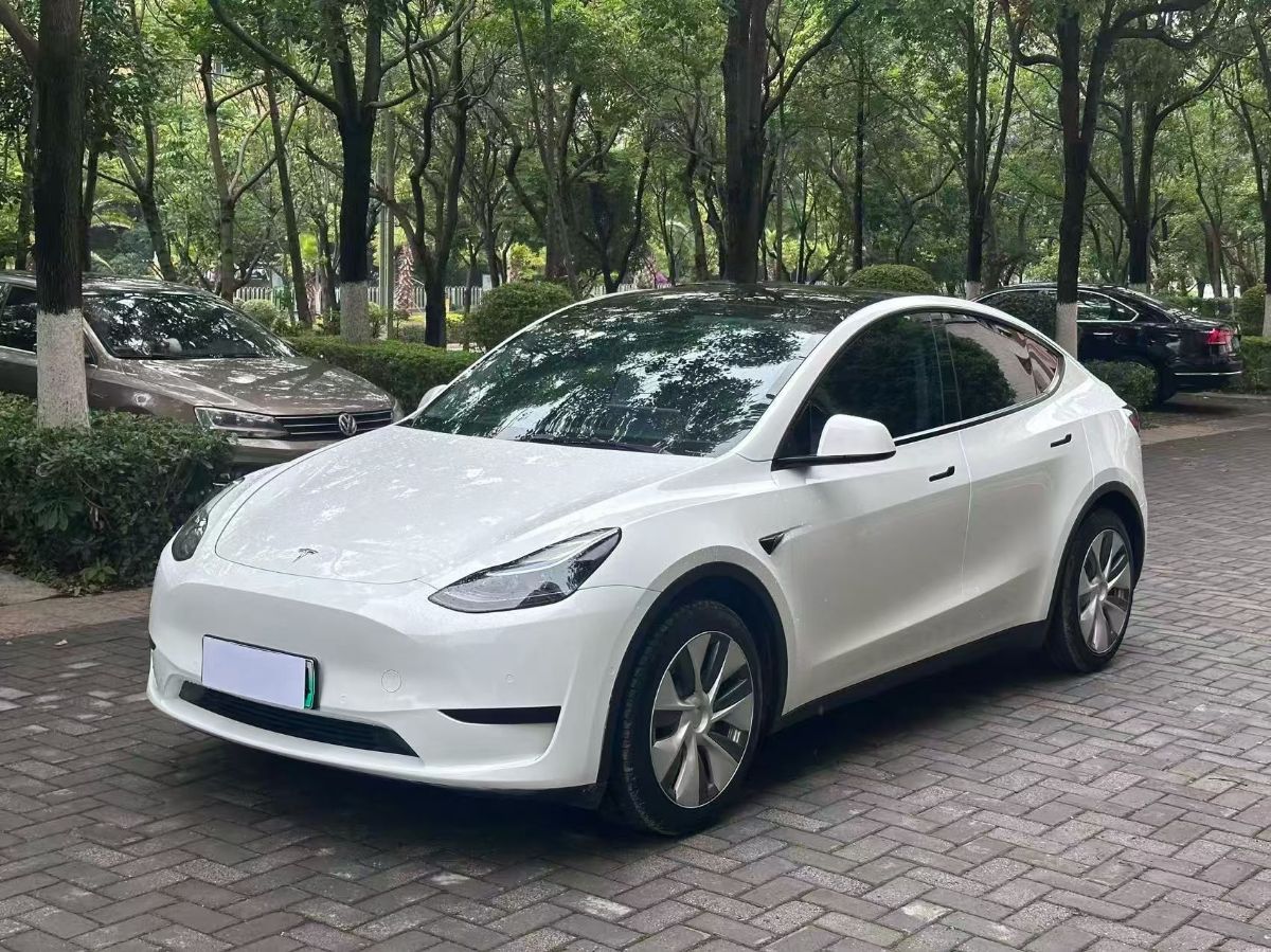 Tesla Model Y 2023 Tesla Model Y 2023 car image