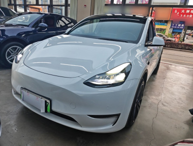 Tesla Model Y 2022 Tesla Model Y 2022 car image