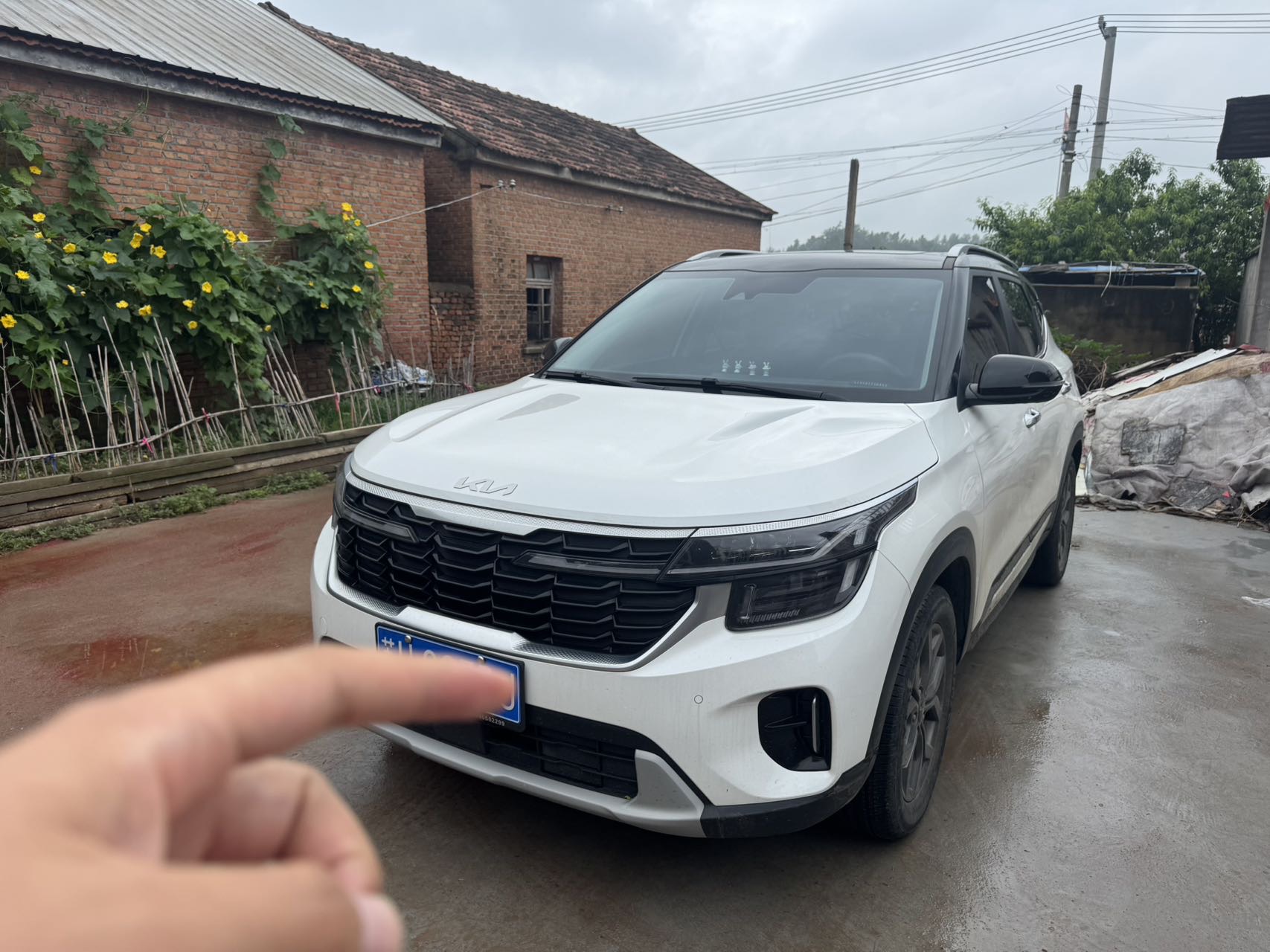 Kia Seltos 2023 Kia Seltos 2023 car image