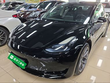 Tesla Model 3 2023 car image 
