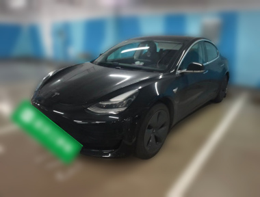 Tesla Model 3 2020 Tesla Model 3 2020 car image