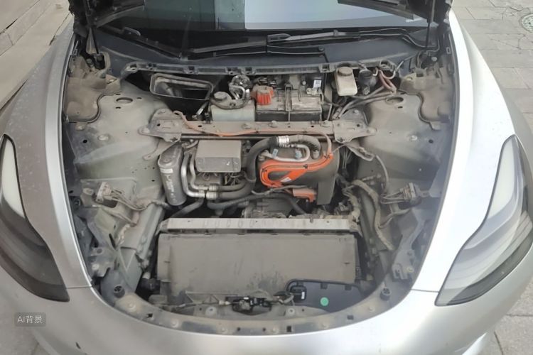 Tesla Model 3 2021 car image #22