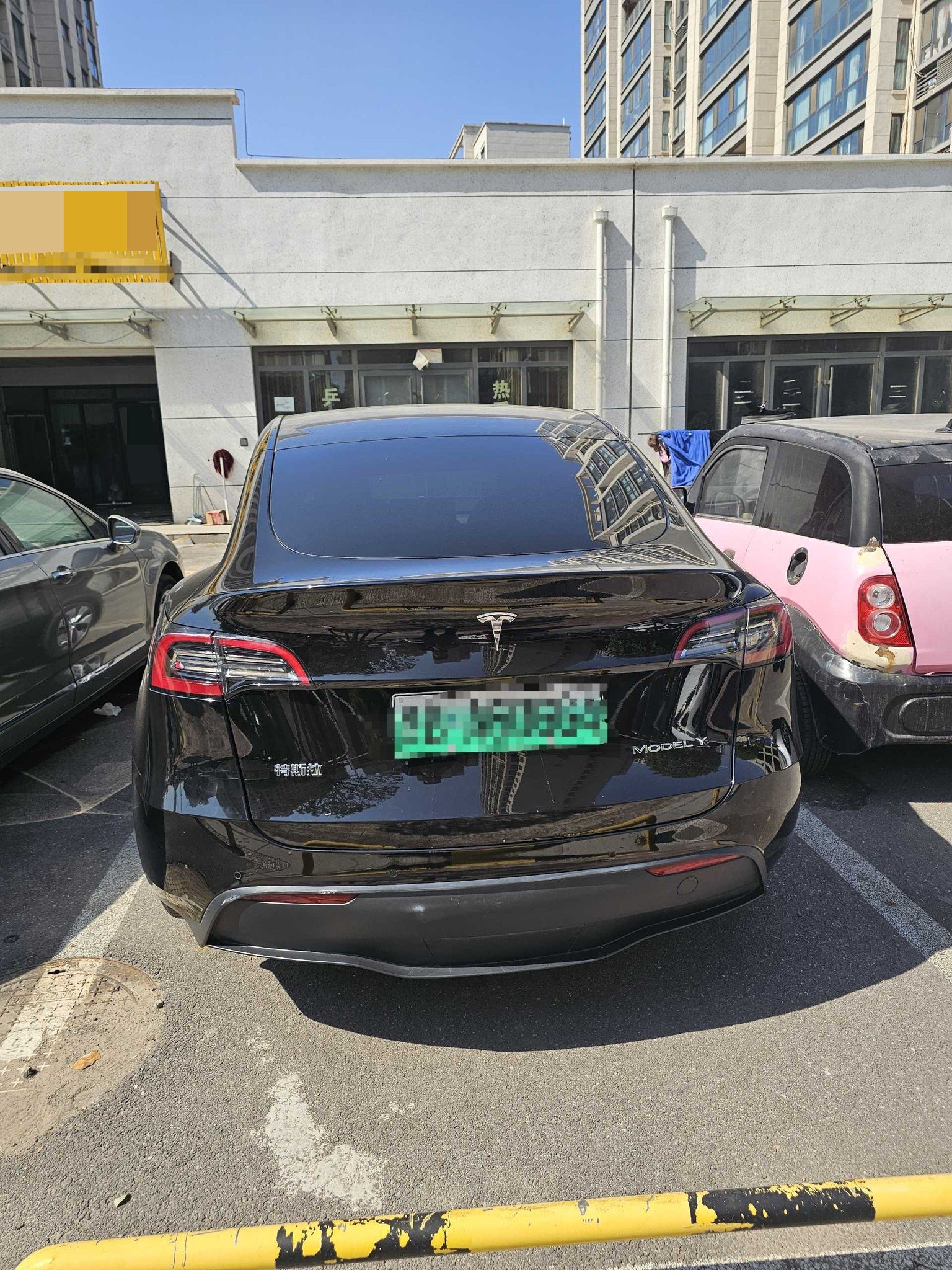 Tesla Model Y 2023 #9 Tesla Model Y 2023 car image #9