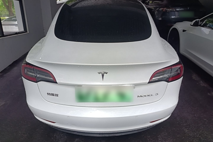 Tesla Model 3 2020 immagine di auto #6