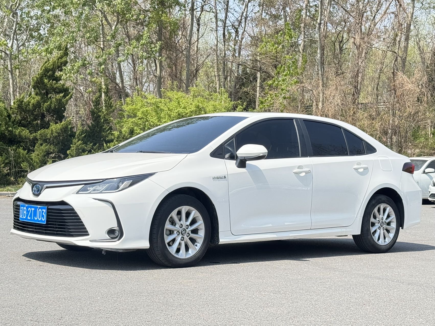 Toyota Corolla 2021 car image 