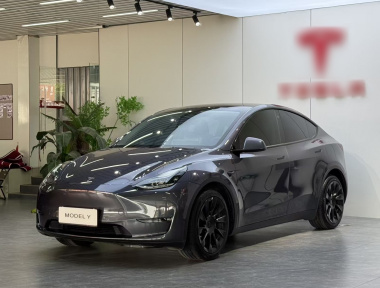 Tesla Model Y 2021 Tesla Model Y 2021 car image