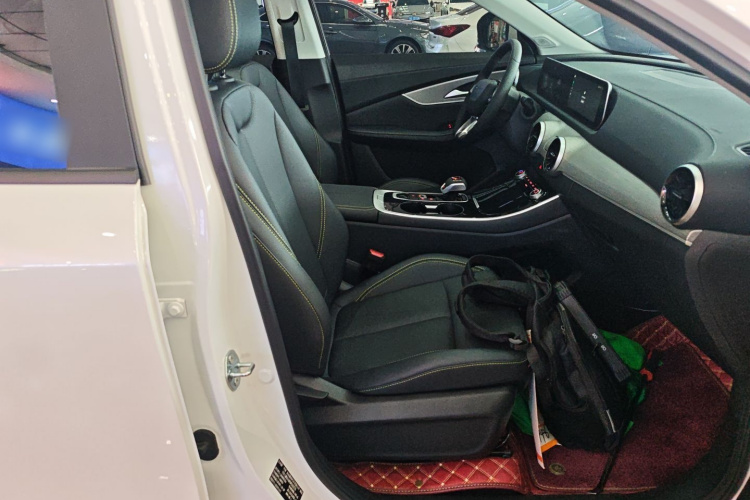 Forthing T5 EVO 2024 immagine di auto #24
