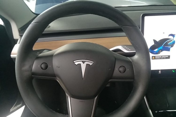 Tesla Model 3 2020 car image #11