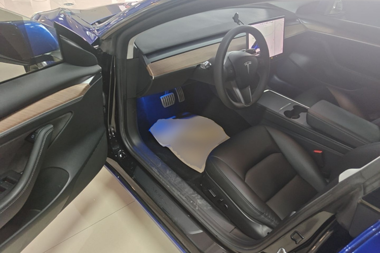 Tesla Model 3 2021 #12 Tesla Model 3 2021 car image #12