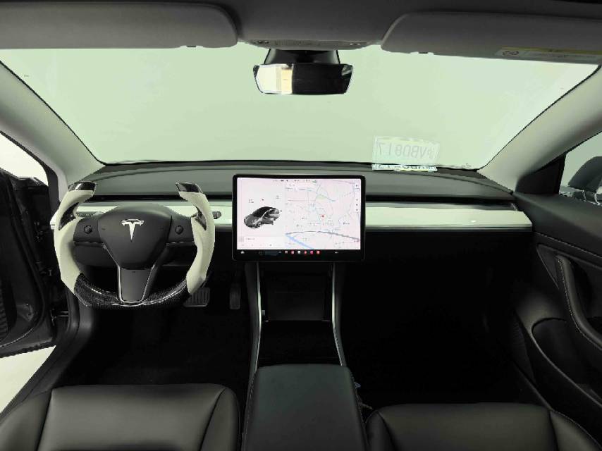 Tesla Model 3 2020 immagine di auto #5