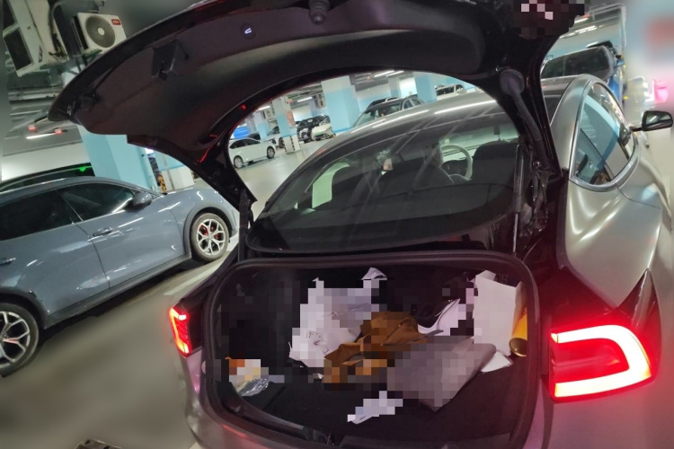 Tesla Model 3 2022 car image #21