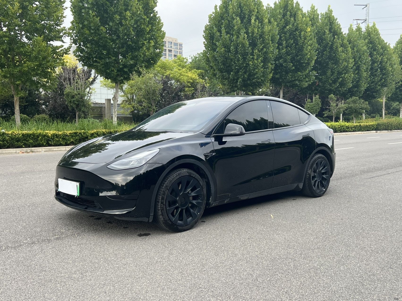 Tesla Model Y 2022 Tesla Model Y 2022 car image
