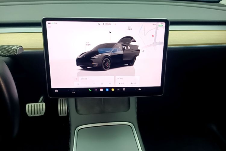 Tesla Model Y 2021 car image #13