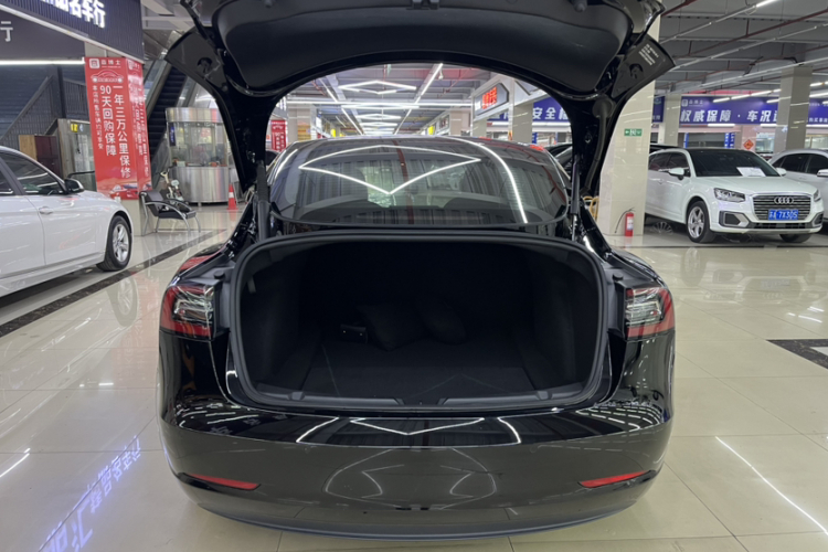 Tesla Model 3 2021 car image #25