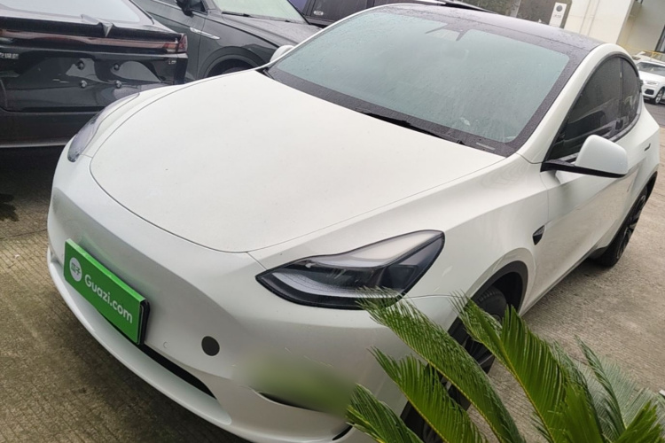 Tesla Model Y 2023 car image #2