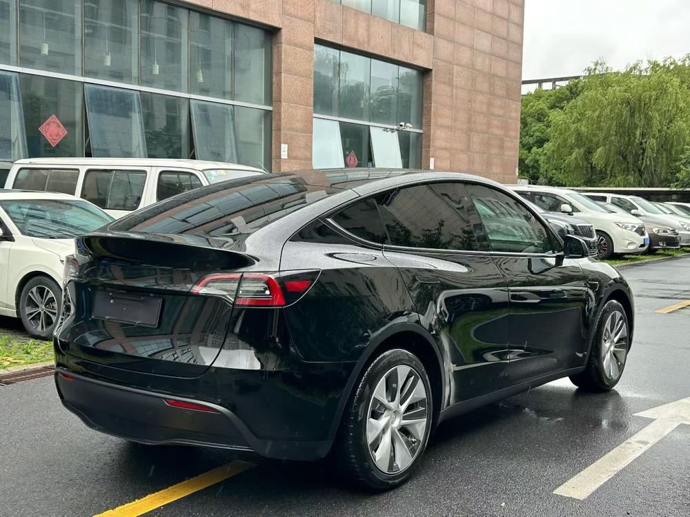 Tesla Model Y 2021 car image #6