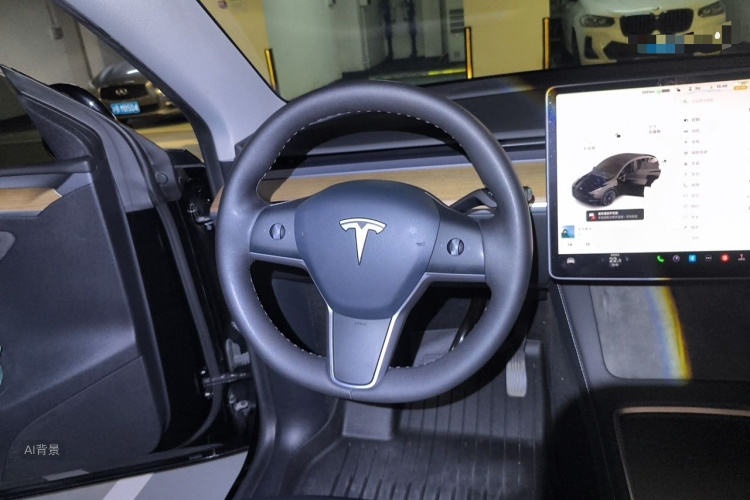 Tesla Model Y 2021 car image #12