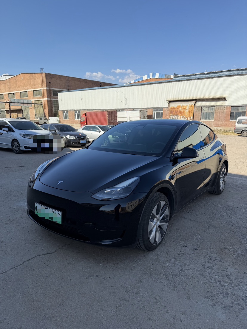 Tesla Model Y 2023 Tesla Model Y 2023 car image