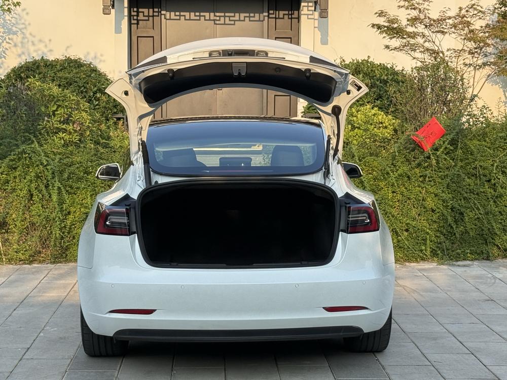 Tesla Model 3 2021 car image #7