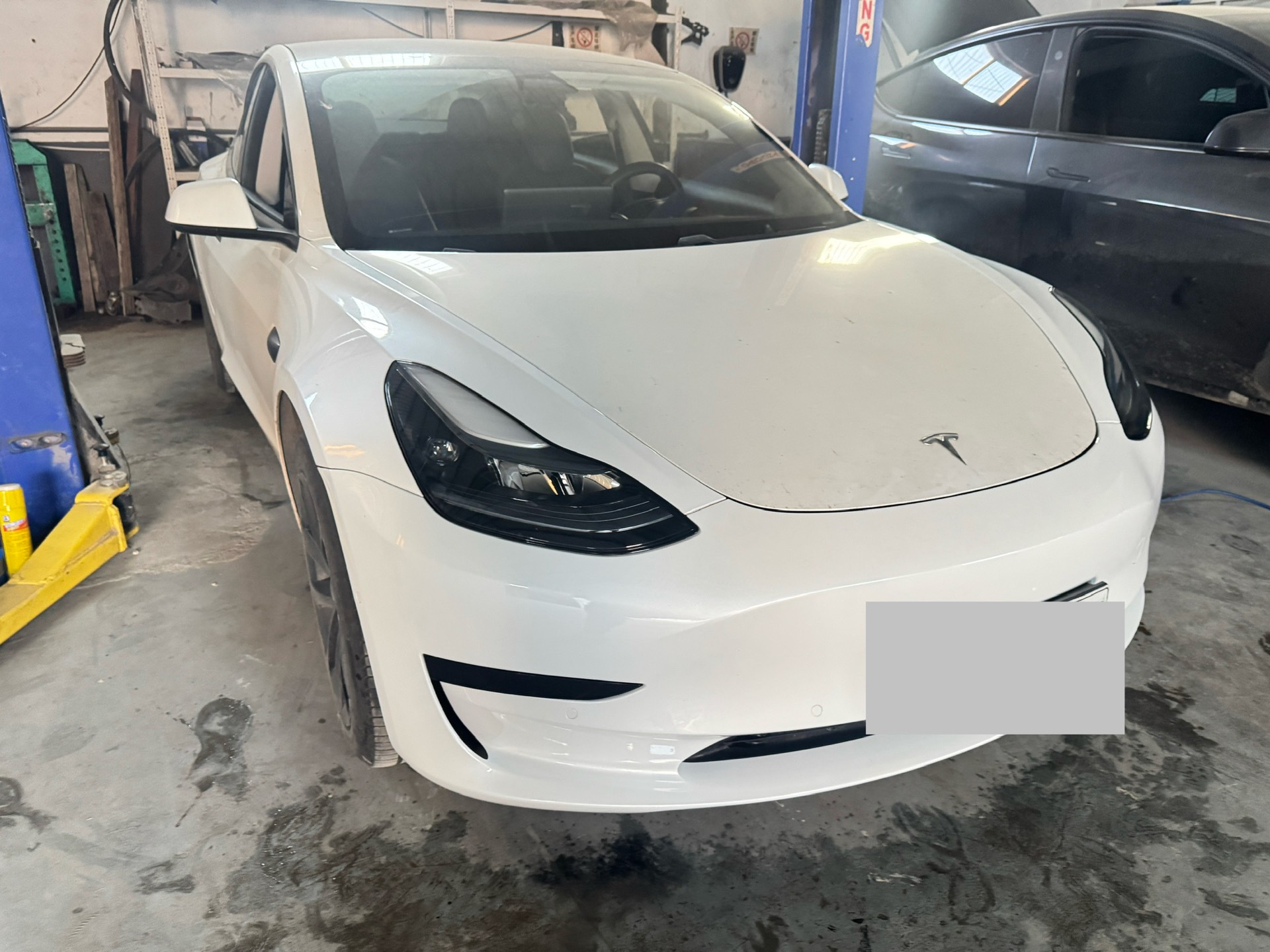 Tesla Model 3 2021 immagine di auto #2