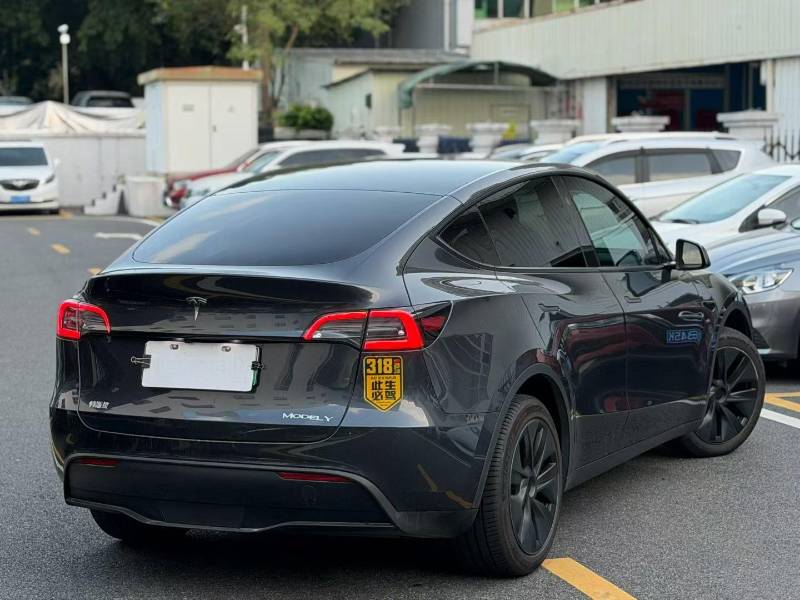 Tesla Model Y 2024 car image #9