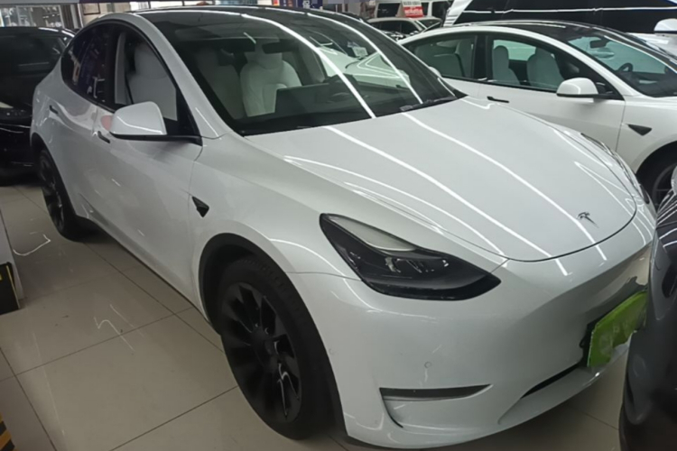 Tesla Model Y 2021 car image #4
