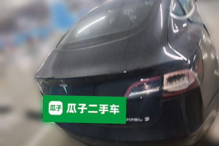 Tesla Model 3 2020 car image #6