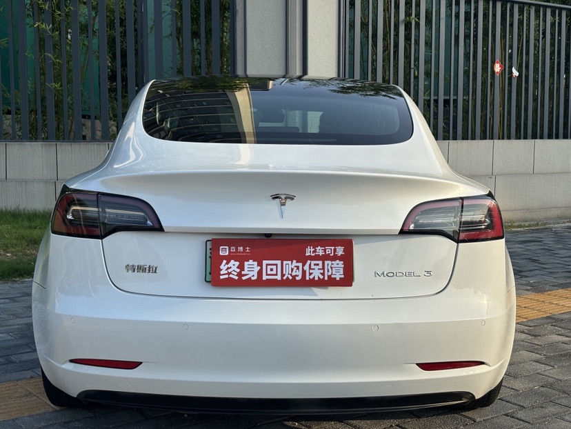 Tesla Model 3 2020 #8 Tesla Model 3 2020 car image #8