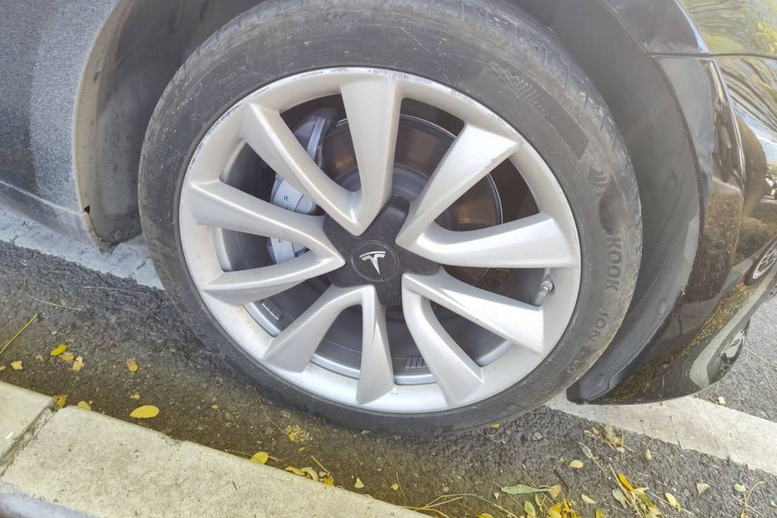 Tesla Model 3 2020 #9 Tesla Model 3 2020 car image #9