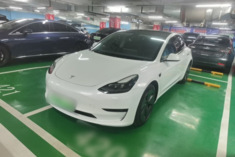 Tesla Model 3 2021 #2 Tesla Model 3 2021 car image #2