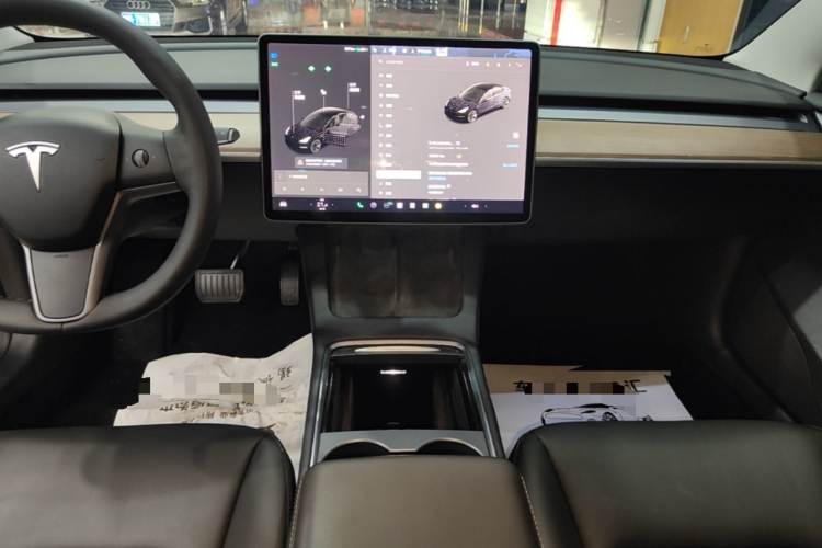 Tesla Model 3 2021 car image #13